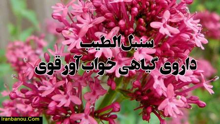 داروی گیاهی برای درمان خواب زیاد
