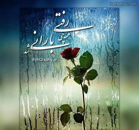 پروفایل باران تویی 