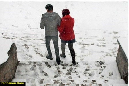 دوست اجتماعی به انگلیسی