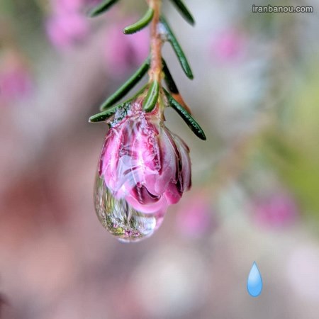  عکس نوشته باران ببار