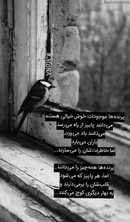 استوری واتساپ خنده دار