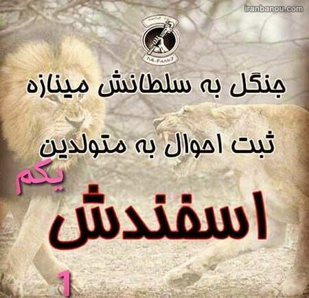  عکس پروفایل اسفند ماهی خاص