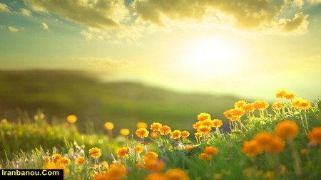 صبح بخیر عاشقانه جدید صبح بخیر همسر مهربونم