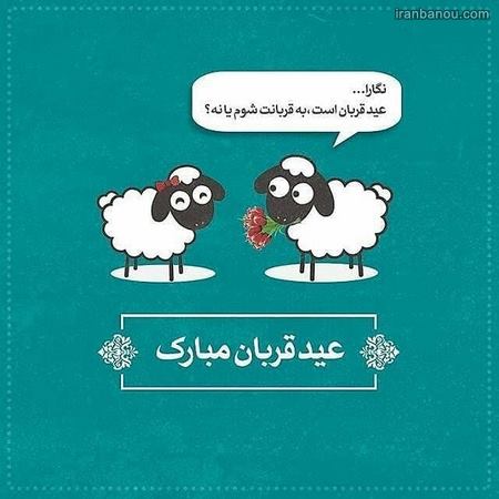 تصاویر تبریک عید قربان