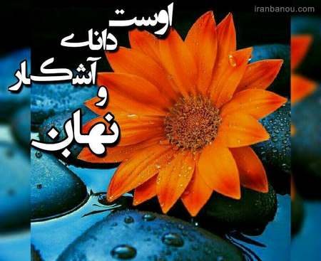 عکس پروفایل شکایت از خدا