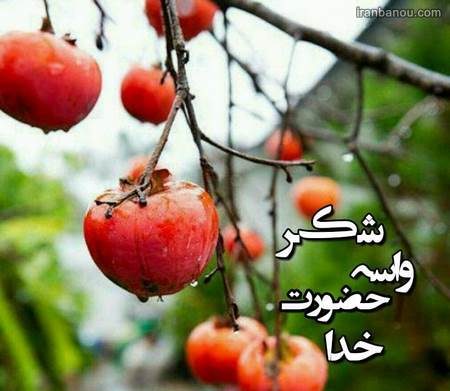 عکس نوشته در مورد خدا
