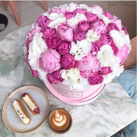 عکس گل برای پروفایل واتساپ عکس گل نوشته دار