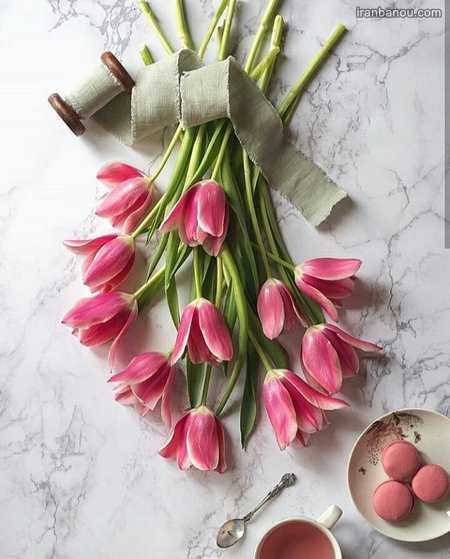  عکس گل های عاشقانه