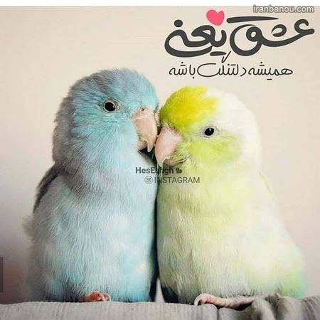  عکس لاکچری عاشقانه دونفره