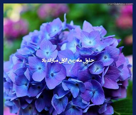  متولدین ماه ربیع الاول