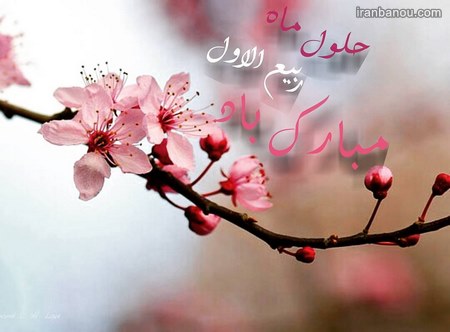  اس ام اس تبریک ربیع الاول 