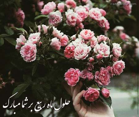  سوم ربیع الاول