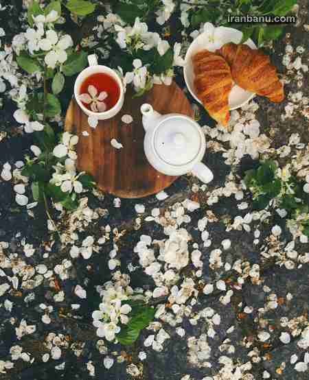 صبح بخیر زیبا و عاشقانه صبح بخیر عاشقانه به همسر