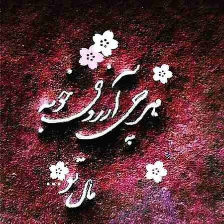  شب آرزوها 