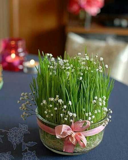 سبزه عید به شکل مزرعه سبزه عید به شکل لاو