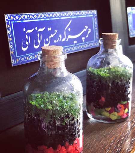 سبزه عید به شکل مزرعه سبزه عید با اسفنج