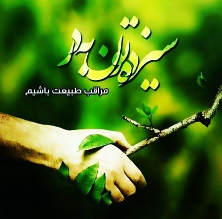 سبزه گره زدن 
