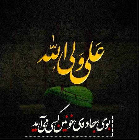  عکس نوشته سخنان حضرت علی