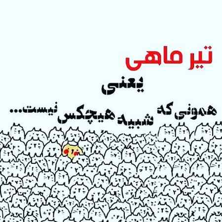 پروفایل تیر ماهی ام