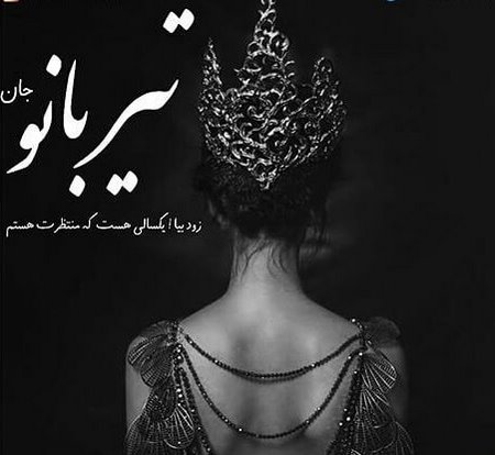 پروفایل تیر ماهی ام