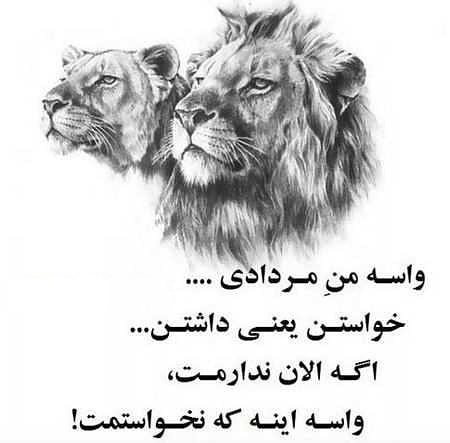عکس مرداد ماهی