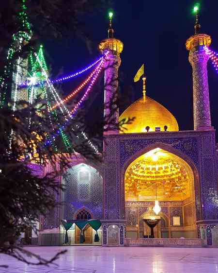 عکس جمکران و گل نرگس
