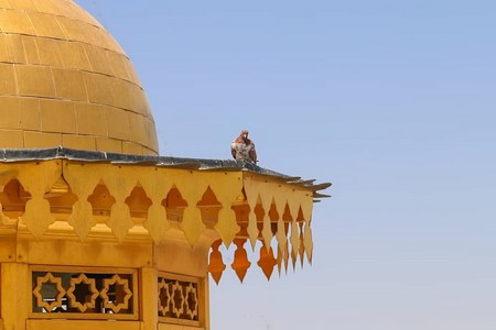 جمکران تصاویر