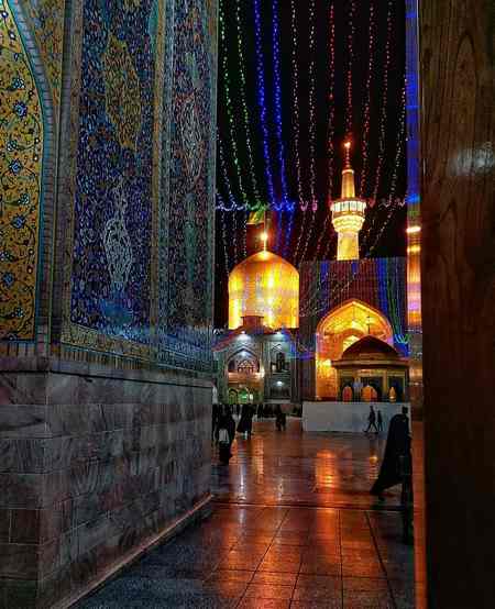 ضریح حضرت معصومه زنده