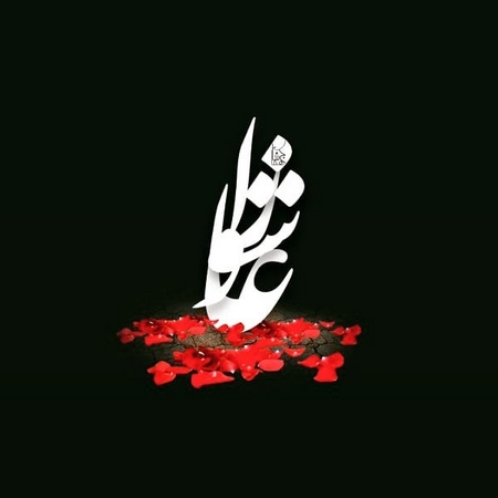  عکس حرم امام حسین و حضرت عباس