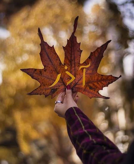  عکس پروفایل آذر ماهی امش