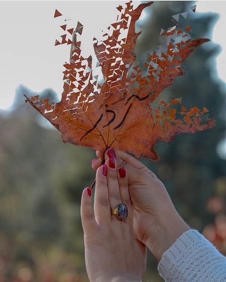 پروفایل آذر ماهی جدید