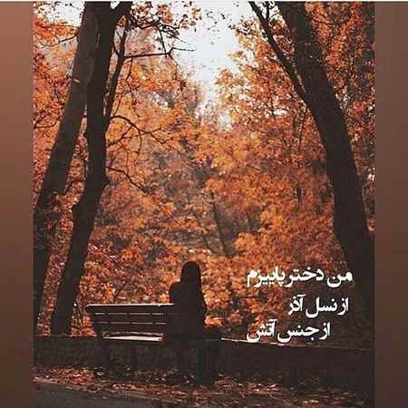  عشق آذرماهی ها