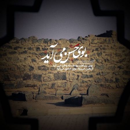  متن شهادت امام رضا