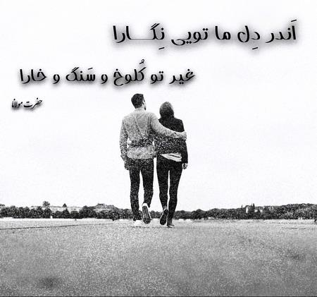 خلاصه زندگی نامه مولوی