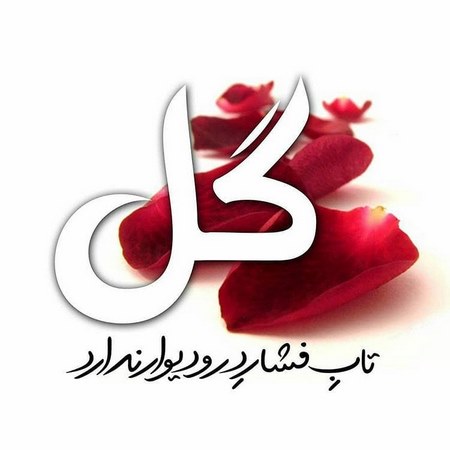 پروفایل حضرت زهرایی