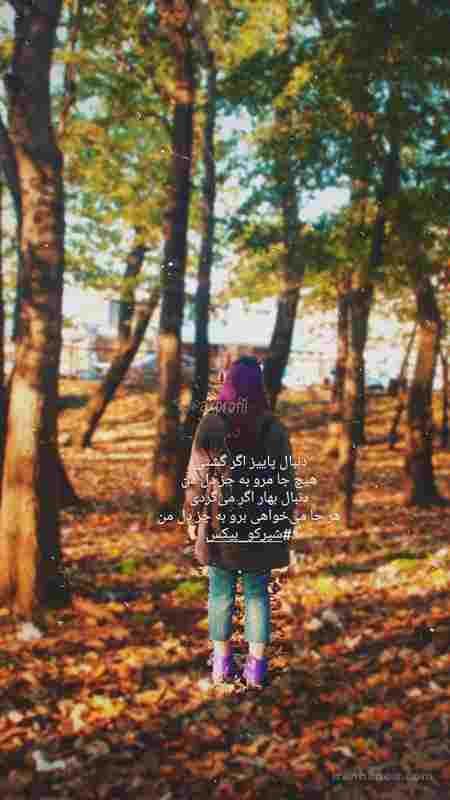 بهترین متن عاشقانه برای سالگرد ازدواج