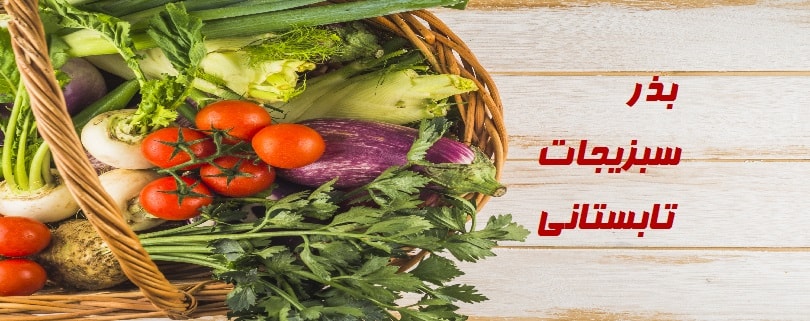 بذر سبزیجات تابستانی